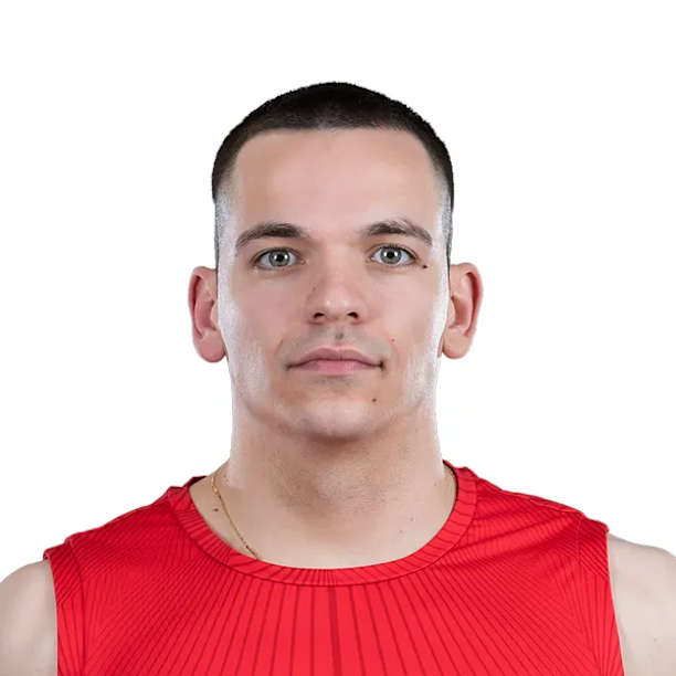 Stefan Negic official portrait