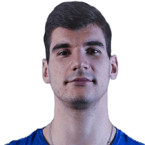 Dusan Nikolić official portrait