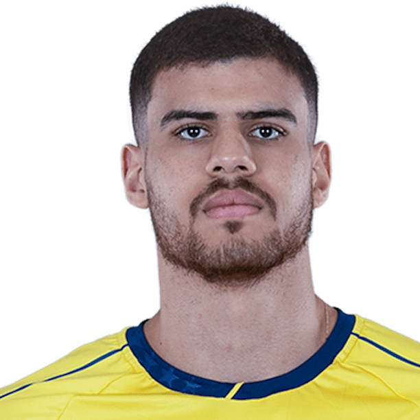 Thiery Fellipe Oliveira Morais do Nascimento official portrait