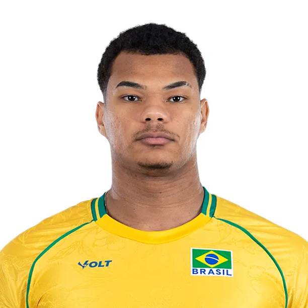 Darlan Ferreira Souza official portrait