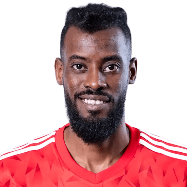 Anas Alwaddani official portrait