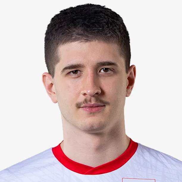 Bartosz Gomułka official portrait
