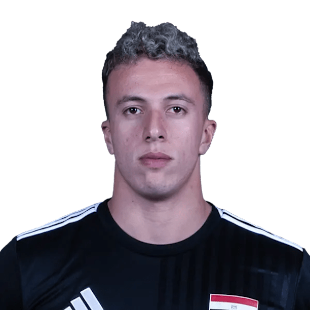 Seifeldin Hassan Aly official portrait