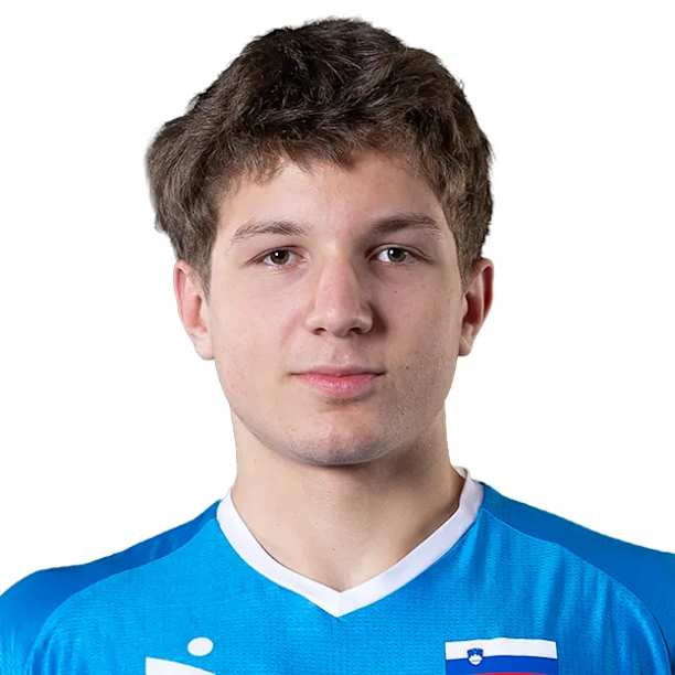 Valentin Predan official portrait