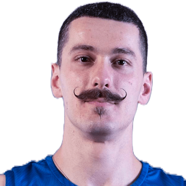 Vladimir Gajović official portrait