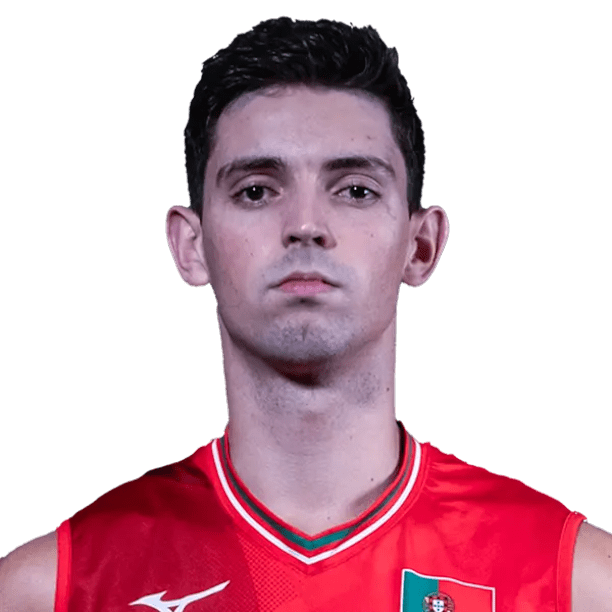 Guilherme Menezes official portrait