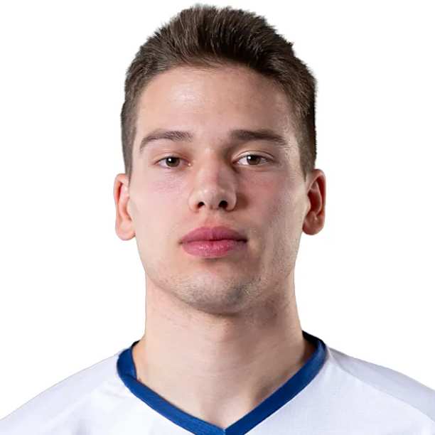 Grega Okroglič official portrait