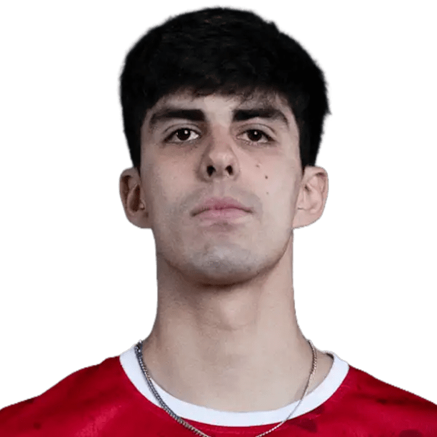 Vicente Ibarra official portrait