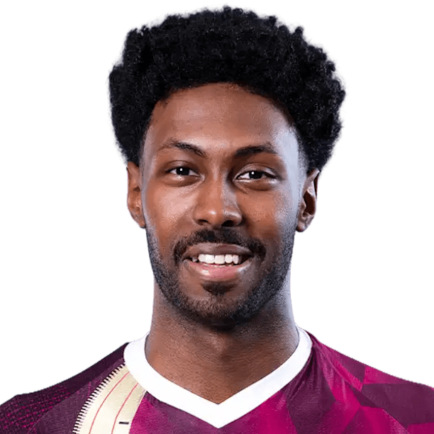 Mohamed Widatalla official portrait