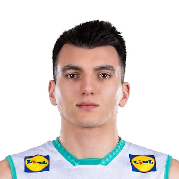 Stoil Palev official portrait