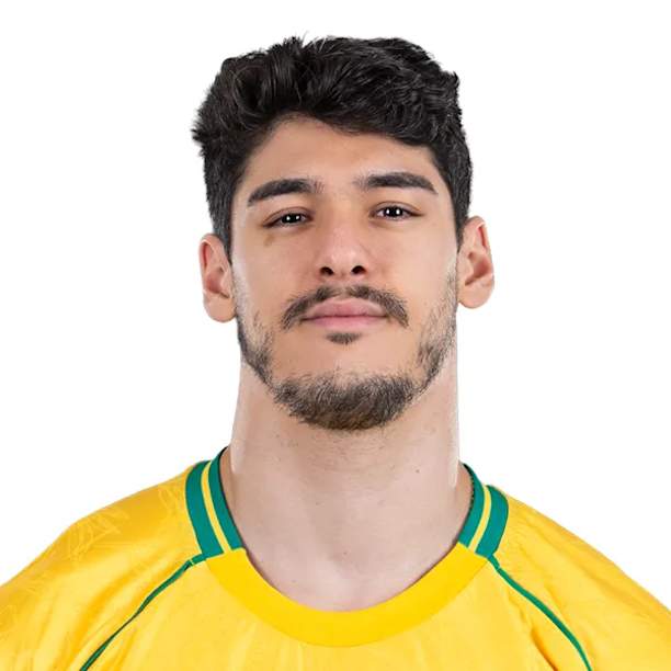 Henrique Dantas Nóbrega Honorato official portrait