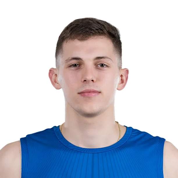 Nikola Brboric official portrait