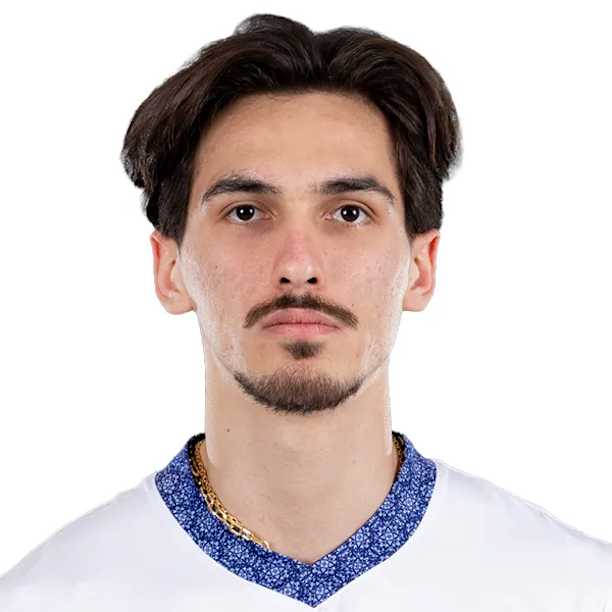 Armin Ghelichniazi official portrait